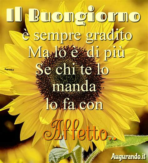 buona giornata buongiorno belle donne|immagine buona giornata salvatore.